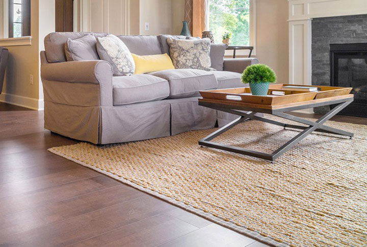 natural area rug in modern living room with coffee table and fireplace